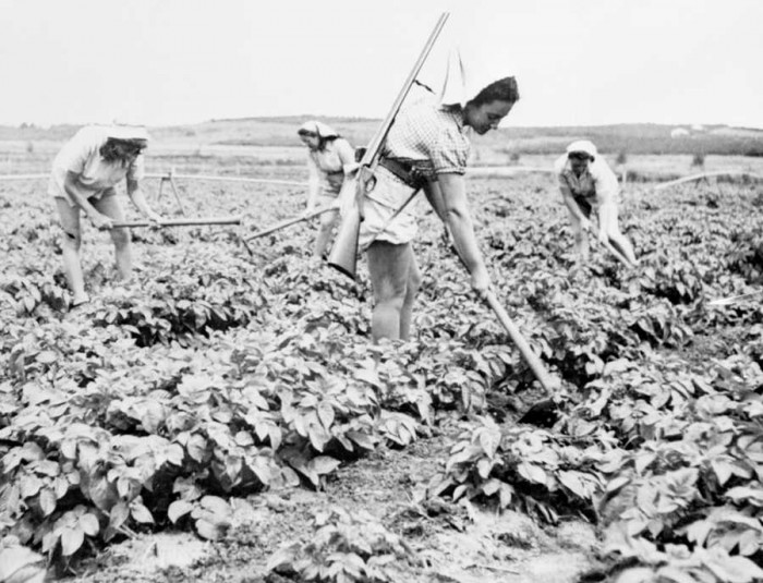Девушки в кибуце Дгания. Палестина, 1948 Фото — Corbis